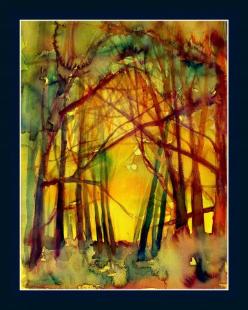 ORYSZYN - Światło lasu I